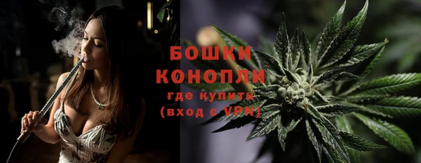 ГАЛЛЮЦИНОГЕННЫЕ ГРИБЫ Горнозаводск