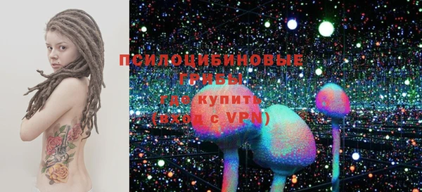 PSILOCYBIN Гусь-Хрустальный