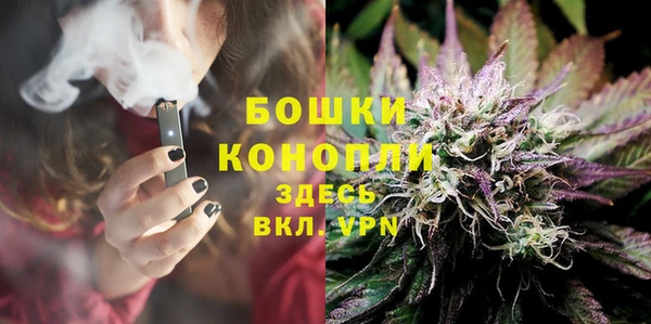 PSILOCYBIN Гусь-Хрустальный