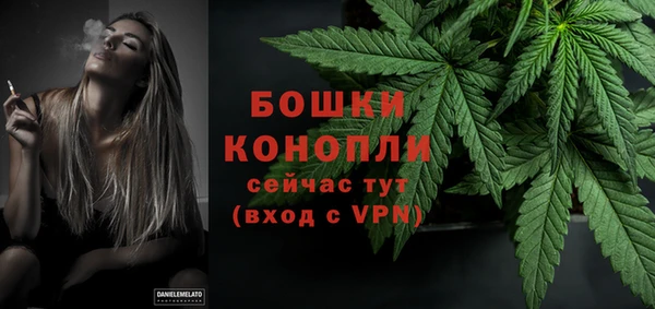 ГАЛЛЮЦИНОГЕННЫЕ ГРИБЫ Горно-Алтайск