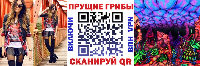 Галлюциногенные грибы Psilocybine cubensis  kraken онион  Дубовка 
